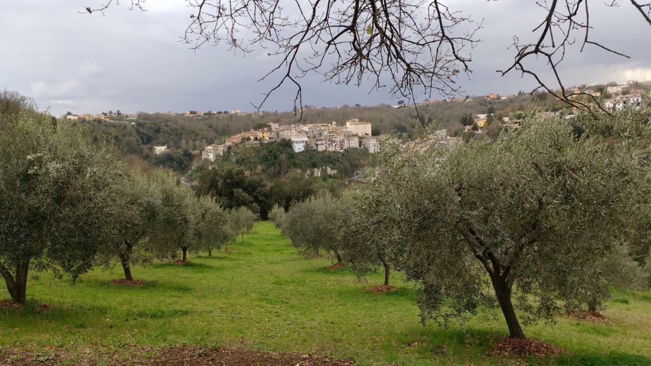 Bed and Breakfast Bed And Bikers Riano  Esterno foto